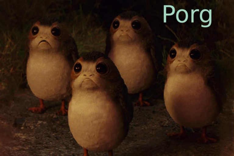 Porg – Description, Character, Animation, Porg Story, and More