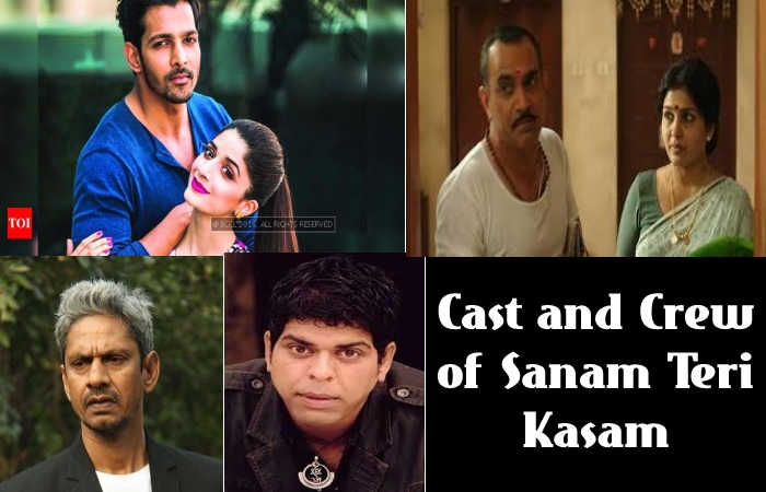 Sanam Teri Kasam Full Movie Download