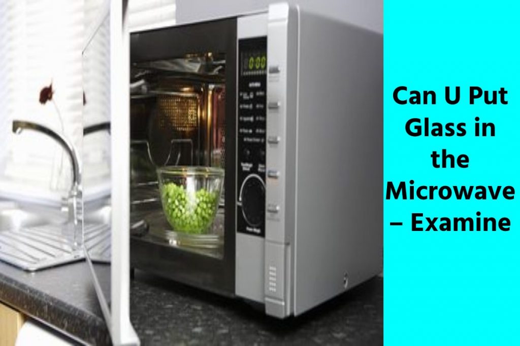 Can U Put Glass in the Microwave – Examine