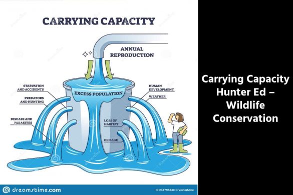 Carrying Capacity Hunter Ed – Wildlife Conservation