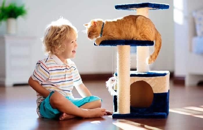 Cat Wagging Tail While Lying Down – A Way to Communicate