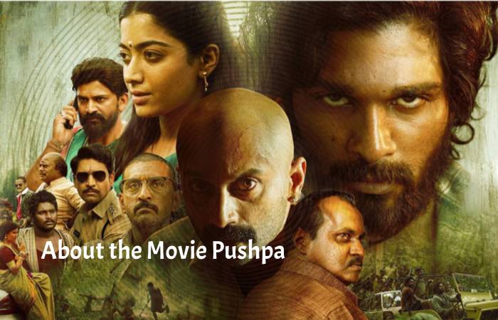 About the Movie Pushpa