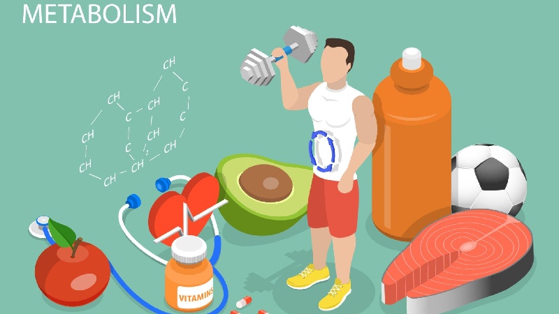 Monsoon Metabolism Boosting Strategies