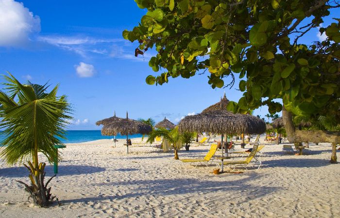 Is Aruba Worth Visiting? An Honest Review