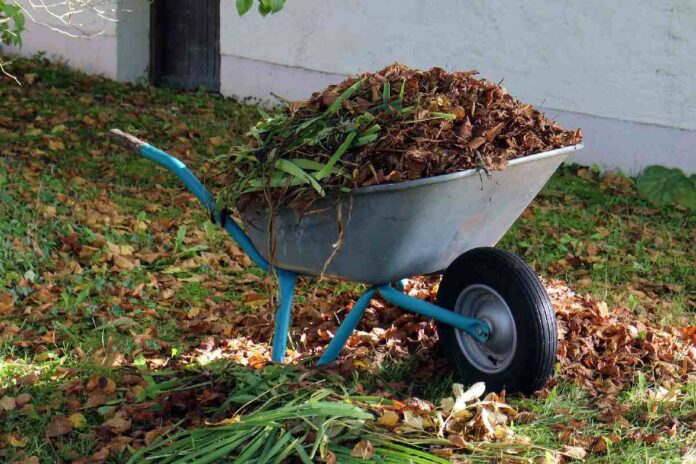 Getting the Most from Your Garden Debris: Composting Leaves and Organic Waste