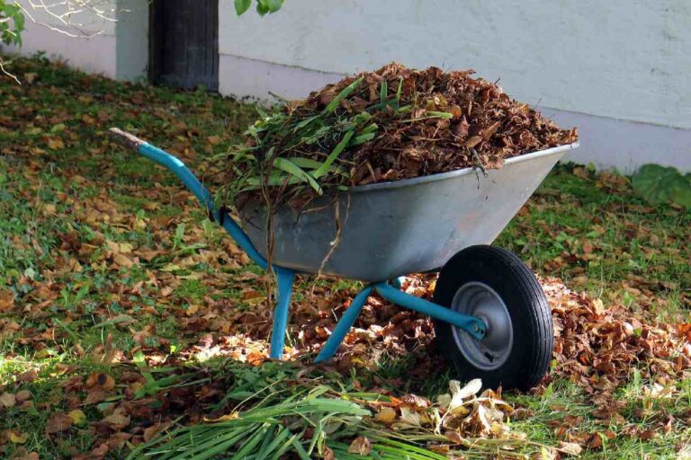 Getting the Most from Your Garden Debris: Composting Leaves and Organic Waste